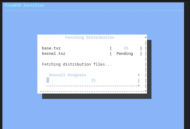 Screen shot of FreeBSD installer progress meter