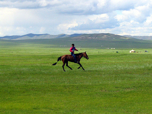 Picture of a horse rider in a green field
