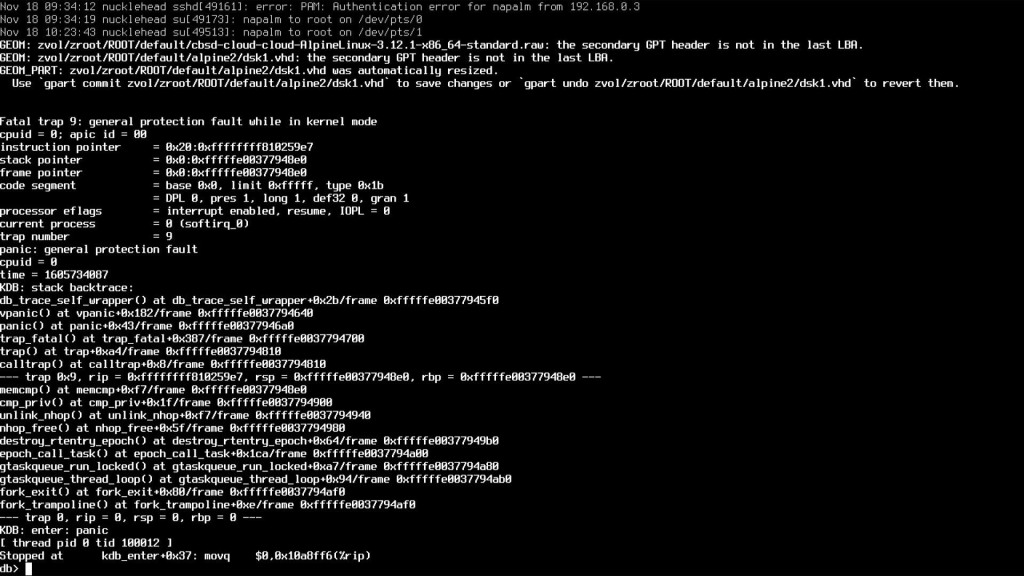 Screenshot of FreeBSD console showing a kernel panic